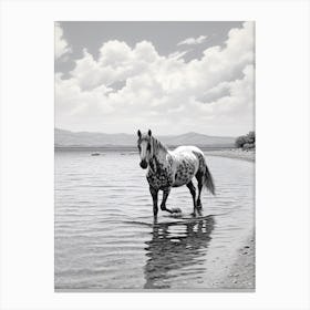 A Horse Oil Painting In Zlatni Rat, Croatia, Portrait 3 Canvas Print