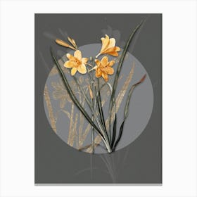 Vintage Botanical Daylily on Circle Gray on Gray n.0061 Canvas Print
