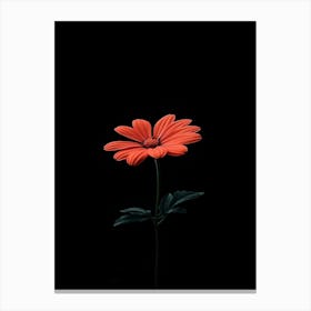 Gerbera Daisy 11 Lienzo