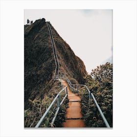 Hawaii Hiking Trail Canvas Print