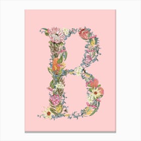 B Pink Alphabet Letter Canvas Print