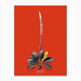 Vintage Blazing Star Black and White Gold Leaf Floral Art on Tomato Red n.0014 Canvas Print