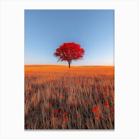 Lone Tree In A Field 2 Canvas Print