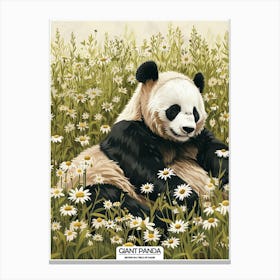 Giant Panda Resting In A Field Of Daisies Poster 133 Canvas Print