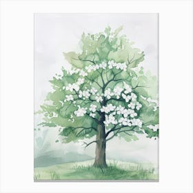 Dogwood Tree Atmospheric Watercolour Painting 4 Canvas Print
