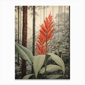 Vintage Jungle Botanical Illustration Heliconia 1 Canvas Print