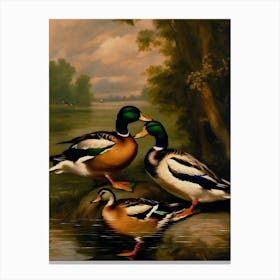 Mallard Ducks Wall Art Above Tv Canvas Print