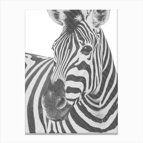 Zebra Line Art Canvas Print
