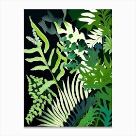 Tripinnatifid Spleenwort Vibrant Canvas Print