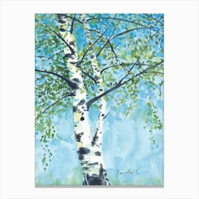 Aspen Tree1 Canvas Print