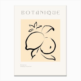 Botanique 3 Canvas Print