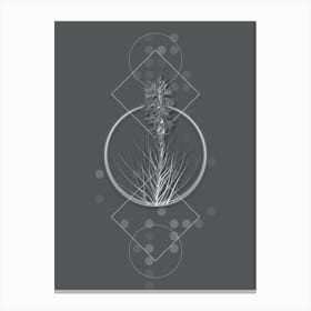 Vintage Yellow Asphodel Botanical with Line Motif and Dot Pattern in Ghost Gray n.0254 Canvas Print