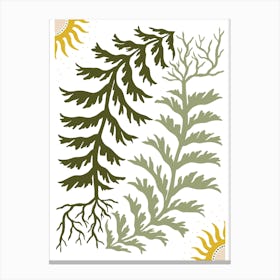 Ferns And LeavesBoho Art Deco Drawing Illustration Canvas Print