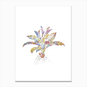 Stained Glass Kaempferia Angustifolia Mosaic Botanical Illustration on White n.0083 Canvas Print