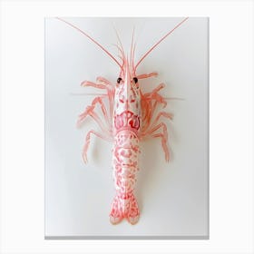 Prawn Canvas Print