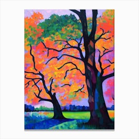 Nuttall Oak Tree Cubist Canvas Print
