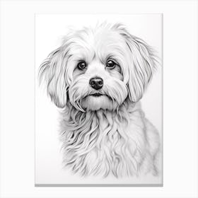 Maltese Dog, Line Drawing 4 Canvas Print