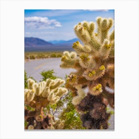 Cacti Bloom Canvas Print