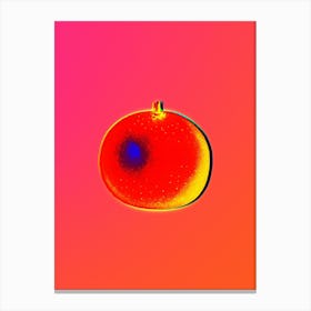 Neon Orange Botanical in Hot Pink and Electric Blue n.0156 Canvas Print