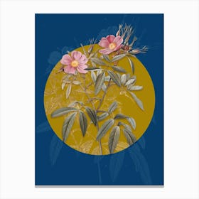 Vintage Botanical Pink Swamp Roses on Circle Yellow on Blue Canvas Print