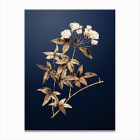 Gold Botanical Lady Bank's Rose on Midnight Navy n.3683 Canvas Print