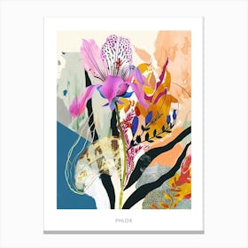 Colourful Flower Illustration Poster Phlox 1 Canvas Print