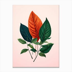 Three Leaves On A Pink Background Canvas Print