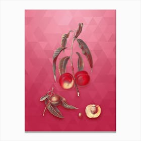 Vintage Walnut Peach Botanical in Gold on Viva Magenta n.0733 Canvas Print