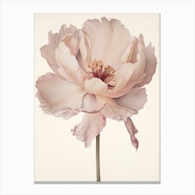 Floral Illustration Tulip 3 Canvas Print