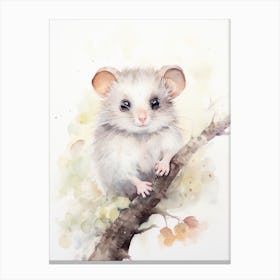 Light Watercolor Painting Of A Mountain Pygmy Possum 2 Canvas Print