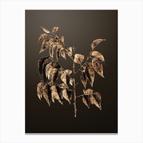 Gold Botanical Common Hackberry on Chocolate Brown n.0757 Canvas Print
