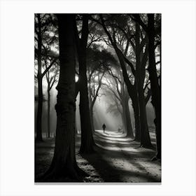 Walk In The Woods Canvas Print