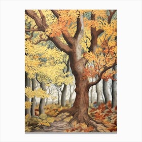 Eastern Cottonwood 3 Vintage Autumn Tree Print  Canvas Print