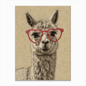 Llama In Glasses Canvas Print