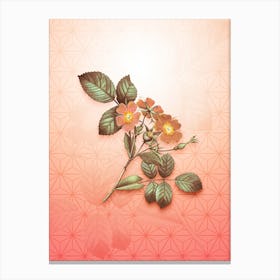 Redleaf Rose Vintage Botanical in Peach Fuzz Asanoha Star Pattern n.0043 Canvas Print