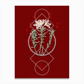 Vintage Lily of the Incas Botanical with Geometric Line Motif and Dot Pattern Canvas Print