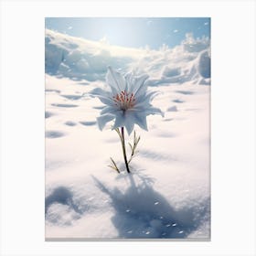 Beautiful Winter Flowers 35 Canvas Print