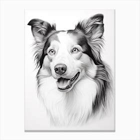 Border Collie Dog, Line Drawing 1 Canvas Print