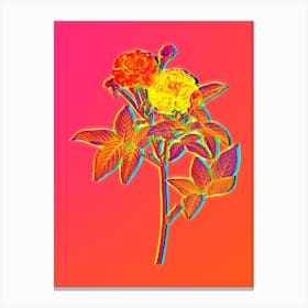Neon Van Eeden Rose Botanical in Hot Pink and Electric Blue n.0061 Canvas Print
