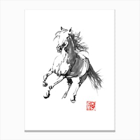 Running Horse Canvas Print