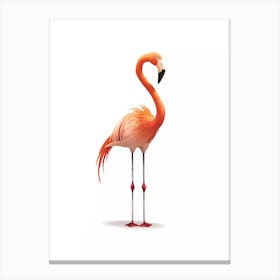 Flamingo 8 Canvas Print