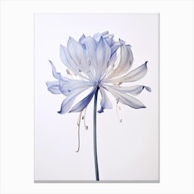 Pressed Flower Botanical Art Agapanthus 2 Canvas Print