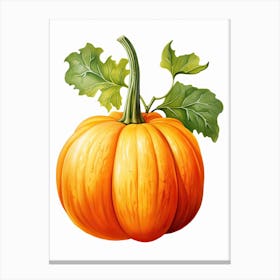 Long Island Cheese Pumpkin Watercolour Illustration 4 Canvas Print