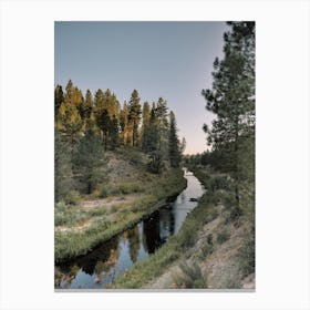 New Mexico Wilderness Canvas Print
