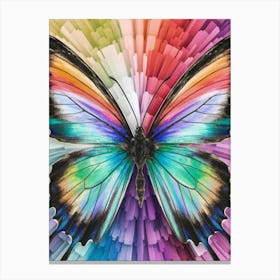 Colorful Butterfly Canvas Print