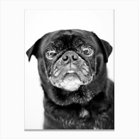 Pug Life Canvas Print