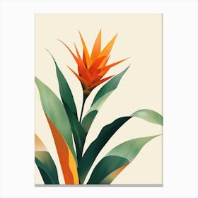 Bromeliad Plant Minimalist Illustration 2 Canvas Print