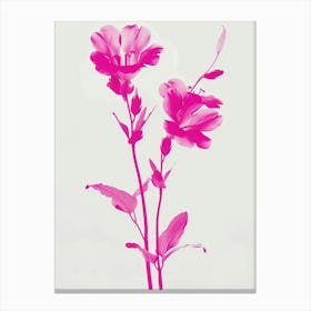 Hot Pink Lobelia 1 Canvas Print
