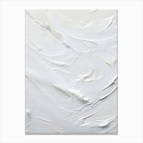 White Paint Texture 4 Canvas Print