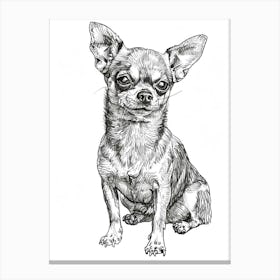 Chihuahua Dog Line Sketch 3 Canvas Print